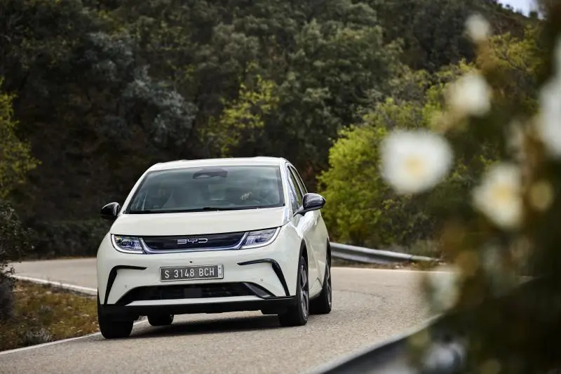 Neugestaltung des BYD Dolphin in Sicht – BYD Dolphin neu gestaltet