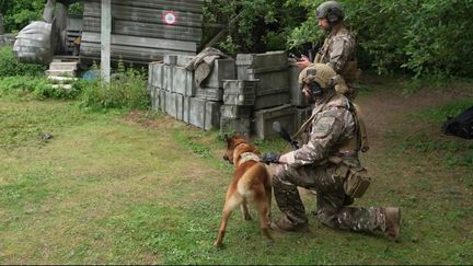 erfahren sie, wie ausnahmen die zfe (zone à faibles émissions) beeinträchtigen und zum sinnverlust ihrer umweltziele führen können. analyse der herausforderungen und möglichen lösungen.